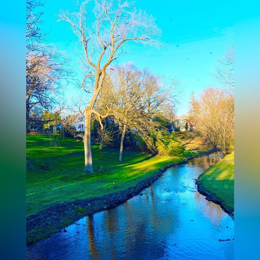 Meet your Posher, Antics in the attic #43